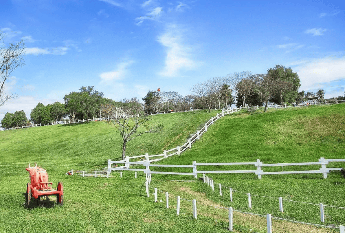 台東親子景點｜10. 初鹿牧場